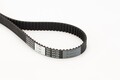 CONTINENTAL CTAM Zahnriemen  u.a. für ABARTH, ALFA ROMEO, FIAT, JEEP, LANCIA