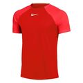 Tshirts Fußball Herren Nike Drifit Adacemy Pro DH9225657 Rot