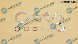Dr.Motor Automotive DRM01345S Dichtungssatz, AGR-System für AUDI SEAT SKODA VW