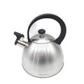 BRILLO FLORINA Wasserkessel Edelstahl Teekessel 2,5 l Flötenkessel Kettles
