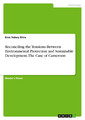 Enie Valery Elive | Reconciling the Tensions Between Environmental Protection...