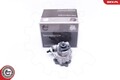 Hydraulikpumpe Lenkung ESEN SKV 10SKV242 für VW PASSAT B5 3B2 Variant 3B5 3B6 A4