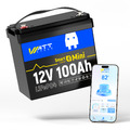 12V 100Ah LiFePO4 Akku Lithium Batterie Bluetooth BMS Home RV(📢Beschädigte Box)