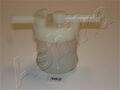ASHIKA (30-03-302) Kraftstofffilter für MAZDA SUBARU TOYOTA ASIA MOTORS