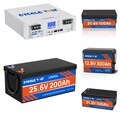12V 24V 36V 48V 100Ah 150AH 200AH 300Ah LiFePO4 Lithium Batterie BMS Solar RV
