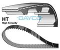 DAYCO (941024) Zahnriemen für AUDI SEAT SKODA VW