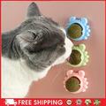 Rotatable Cat Treat Toys with Catnip Snack Licking Ball Kitten Molar (Blue) NEW