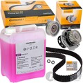 CONTI ZAHNRIEMEN-SATZ+5L G12E für AUDI A3 A4 B5 VW GOLF 4+5+6 PASSAT TOURAN 1.6