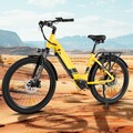 250W Elektrofahrrad 48V 17AH Akku Pedelec Ebike 26 Zoll E Mountainbike 25km/h