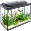 Tetra Starter Line 80L Aquarium Komplett-Set LED-Beleuchtung Innenfilter, Heizer