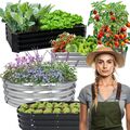 Hochbeet Gemüsebeet Pflanzenbeet Pflanzkübel Blumenkasten Frühbeet Gartenbeet