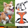 Hundegeschirr Leine für kleine Hunde und Katzen Verstellbar Reflektierend Weste.