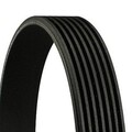 CONTINENTAL CTAM Keilrippenriemen (7PK1272) für Audi A4 B8 für Nissan Np300