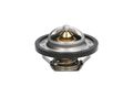 THERMOTEC D2R001TT Thermostat für DAF 400 CITROEN C2 DACIA DUSTER SUV LOGAN