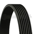 Keilriemen,mehrrippig 7PK2265 CONTINENTAL CTAM für HONDA HYUNDAI JEEP KIA