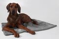 Coco Kuscheldecke grau - Kuscheldecke für Hunde und Katzen in 7 Größen