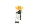KRAFTSTOFF-FÖRDEREINHEIT PUMPE BOSCH 0 580 313 026 FÜR FIAT PUNTO 188