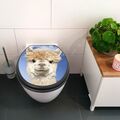 banjado premium softclose WC-Sitz anthrazit Toilettendeckel Absenkautomatik Lama
