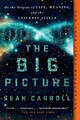Sean Carroll | The Big Picture | Taschenbuch | Englisch (2017) | 464 S.