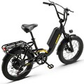 20 Zoll Elektrofahrrad 48V15AH Trekking Ebike 25km/h Pendler   Pedelec