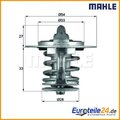 Thermostat, Kühlmittel BEHR MAHLE TX8477