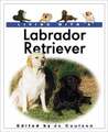 Living With a Labrador Retriever (Living With a Pet Series) Coulson, Jo Buch