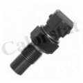 Sensor, Kühlmitteltemperatur CALORSTAT BY VERNET WS2502