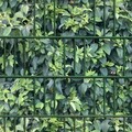 Hartriegel Zaunstreifen für Doppelstabmattenzaun | Motiv Sichtschutzstreifen