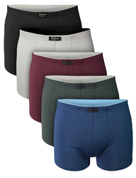 Herren Retro Shorts aus Microfaser 5er oder 10er Pack