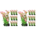 Set of 2 Gefälschte Aquariumpflanzen Plastikpflanzen Für Aquarien