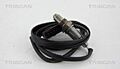TRISCAN Lambdasonde Für AUDI VW SEAT SKODA A3 Sportback A4 Avant A6 06D906265