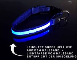 LED Hundehalsdand LED Leuchthalsband USB wiederaufladbar 4 Farben hell leuchtendUSB Wiederaufladbar ✅ / LED ✅ / 3 Größen ✅ / aus DE ✅