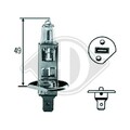 1x Glühlampe DIEDERICHS LID10012 passend für AEBI ALFA ROMEO AUDI BMW CITROËN