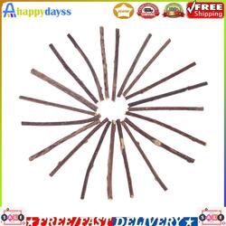 20pcs Matatabi Catnip Snacks Sticks Katzen Kauhölzer Katzenminze Zähne Gesund