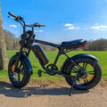 ENGWE M20 Elektrofahrrad 20 Zoll E-Bike 750W E-Mountainbike Fat Bike 45km/h DE