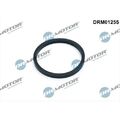 1x Dichtung, Ölkühler Dr.Motor Automotive DRM01255 passend für AUDI SEAT VW