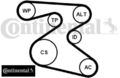 Continental CTAM 6PK1873K1 Keilrippenriemensatz Keilriemen Satz 