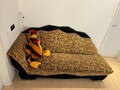 Edelcouch von Bretz, wunderschönes Designerstück, fast wie neu! Chaiselongue TOP
