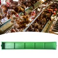 Futtermittel -Hühner -Feeder -Behälter Geflügelfutter für Viehhirschgans