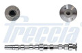 Nockenwelle Einlassseite CM05-2215 FRECCIA für VW ALFA ROMEO FORD SEAT RENAULT