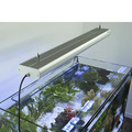 LED Leuchte Aquarium von Aqua Light GERMANY