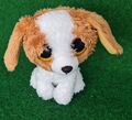 TY Beanie Boos Hund "Cookie" Plüsch ca. 14 cm braun/weiß Glubschi Stofftier