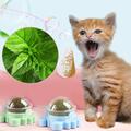 Catnip Ball Toy Natural Cats Candy Snack Teeth Cleaning Bissfestes Spielzeug