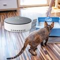 Pet Geruchsentferner Silent USB Katze Hund Geruchsreiniger Elektrische NEU DE