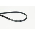 CONTINENTAL CTAM Keilrippenriemen 4PK1119 ELAST passend für AUDI, VW