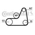CONTINENTAL CTAM Keilrippenriemen 6PK1042 ELAST für FORD MAZDA FIESTA FOCUS DY 5