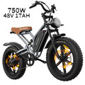 JANSNO X50M-17 750W Elektrofahrrad 48V17Ah 20 Zoll Offroad E-Mountainbike 48km/h