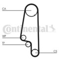 Continental Ctam Ct846Wp3 Wasserpumpe + Zahnriemen Satz für VW Seat 1991 - 2003