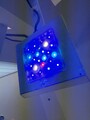 Meerwasser  LED Reef Factory Reef flare PRO BLUE S weiss, 1 Jahr, 1 Stück 