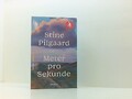 Meter pro Sekunde: Roman Roman Pilgaard, Stine und Hinrich Schmidt: